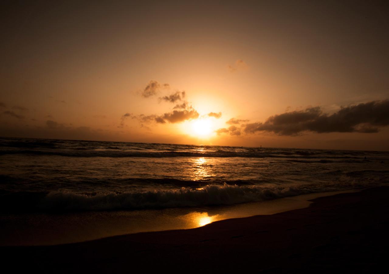 Colombo Lavinia Beach Hostel Dehiwala-Mount Lavinia Bagian luar foto